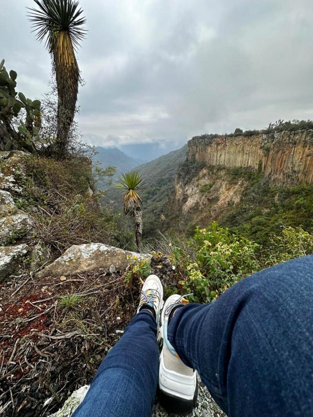 Hotel El Gato Glamping Con Vista A Prismas Basalticos Huasca de Ocampo Zewnętrze zdjęcie