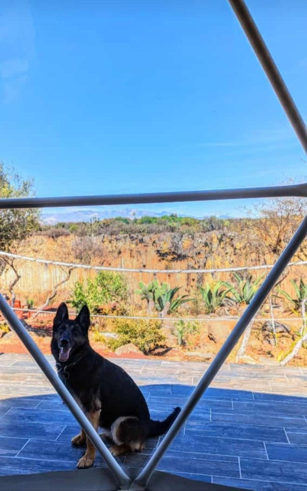 Hotel El Gato Glamping Con Vista A Prismas Basalticos Huasca de Ocampo Zewnętrze zdjęcie