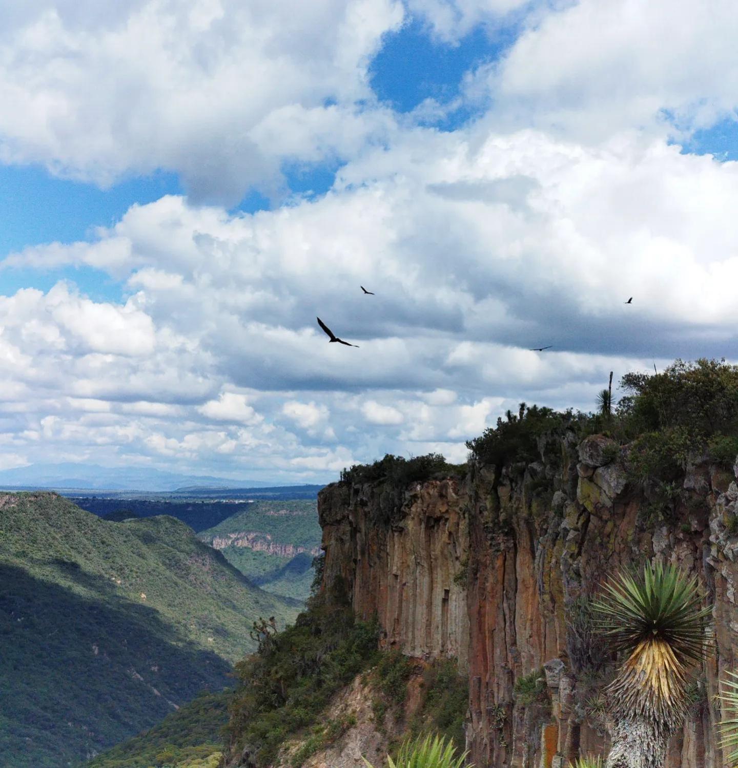 Hotel El Gato Glamping Con Vista A Prismas Basalticos Huasca de Ocampo Zewnętrze zdjęcie