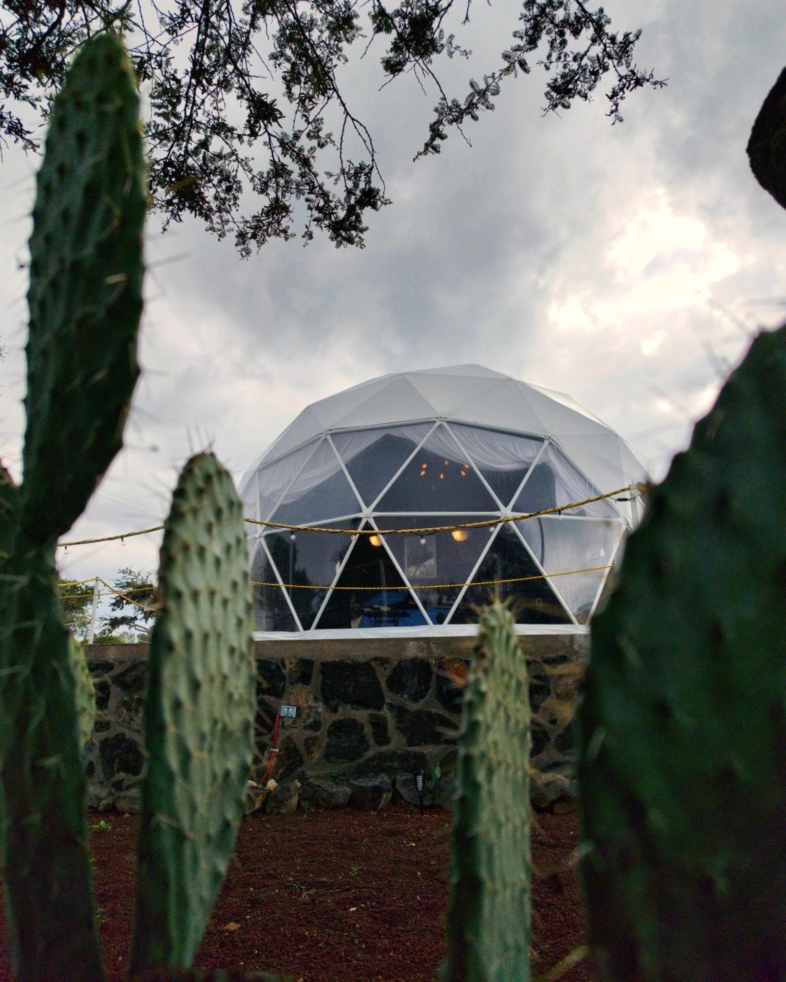 Hotel El Gato Glamping Con Vista A Prismas Basalticos Huasca de Ocampo Zewnętrze zdjęcie